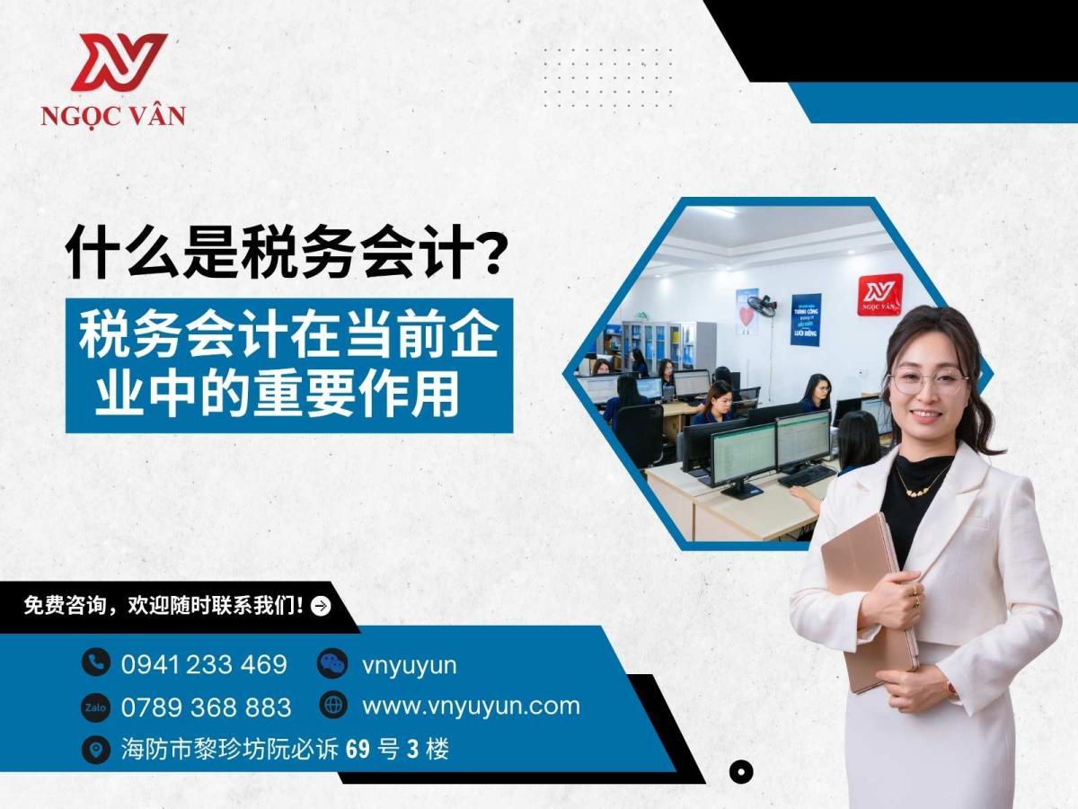 什么是税务会计